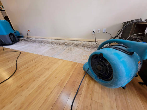 Professional Sewage Cleanup technician working in Desert Hot Springs, CA